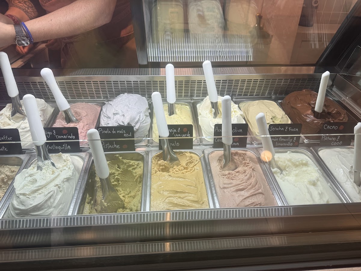 Joe Gelato
