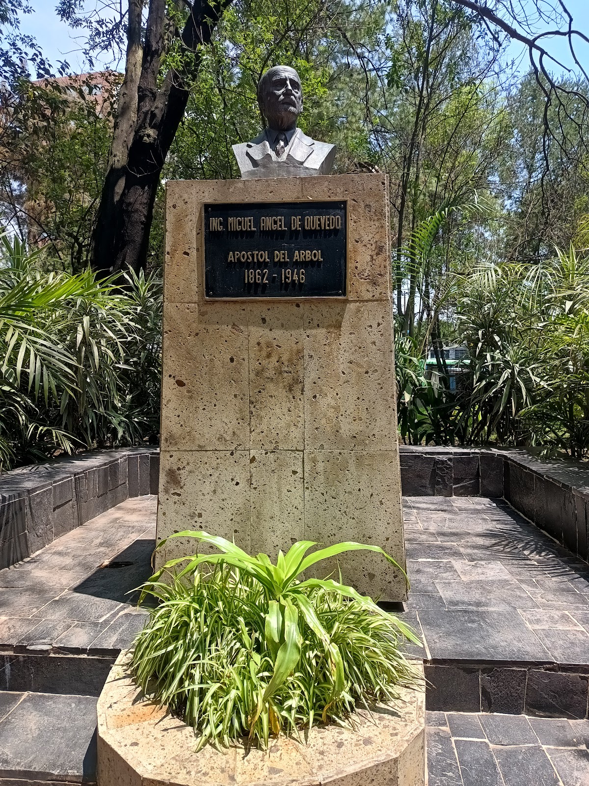 Viveros de Coyoacán