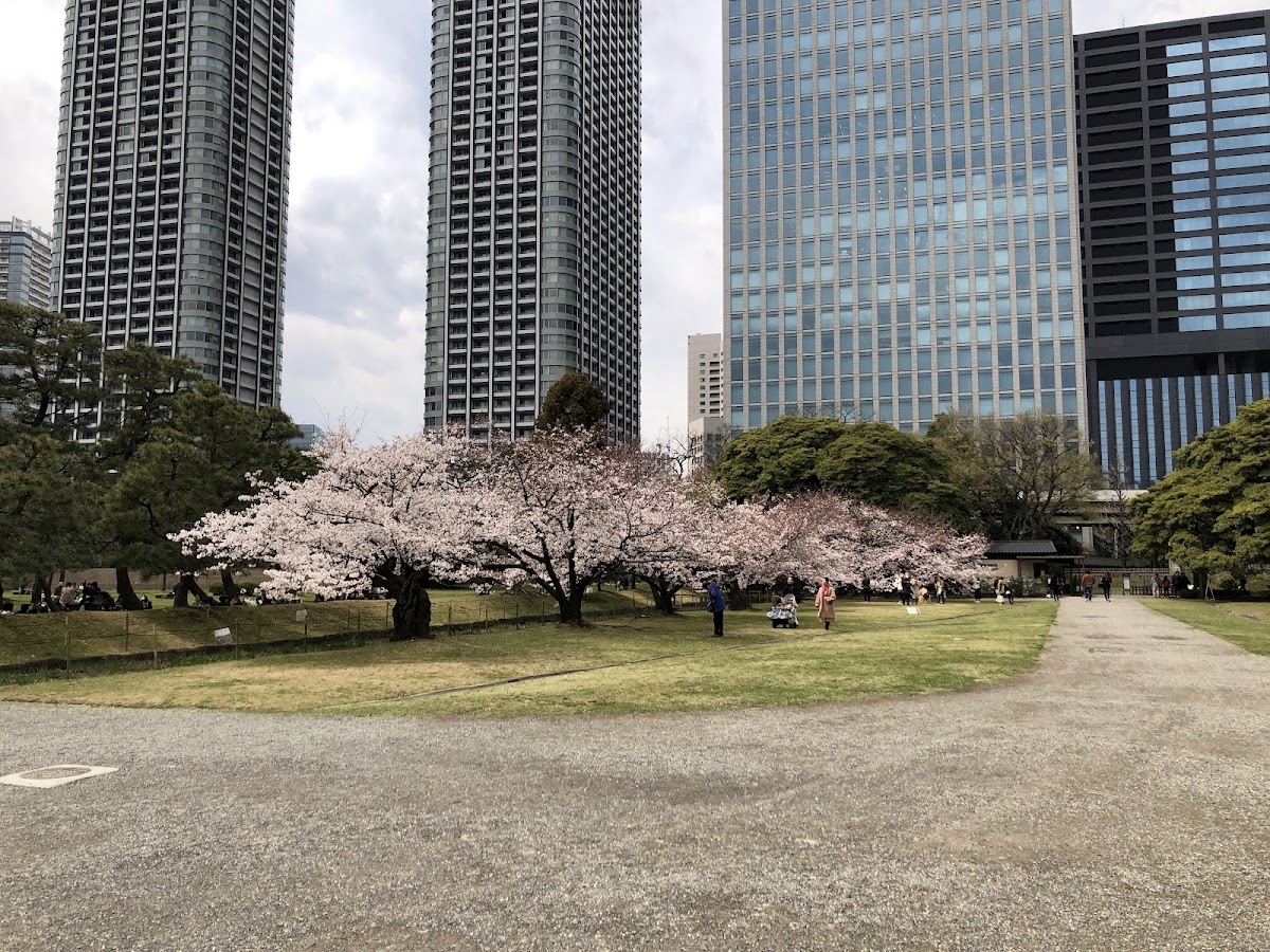 Hamarikyu Gardens